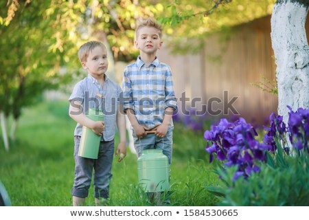 Stockfoto: Boys 6 7 Years Old In The Backyard Against A Wooden Fence In The Garden