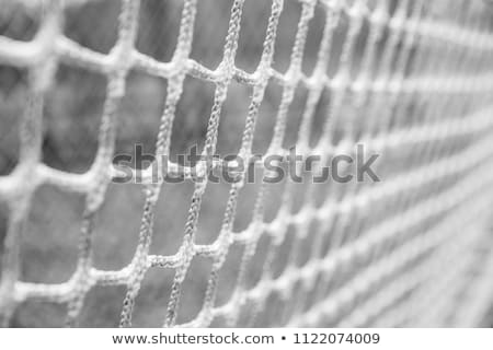 Foto stock: Hockey Net