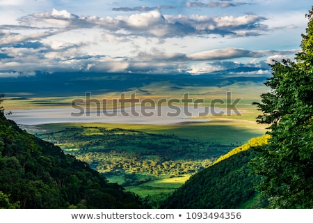 Сток-фото: Ngorongoro Conservation Area In Africa