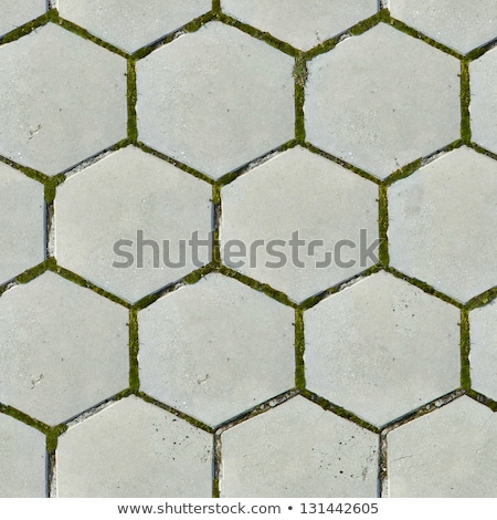 Old Hexagonal Paving Slabs Seamless Texture Foto d'archivio © Tashatuvango