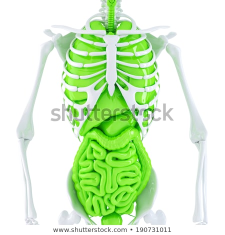 Foto stock: Human Heart 3d Render Isolated Contains Clipping Path