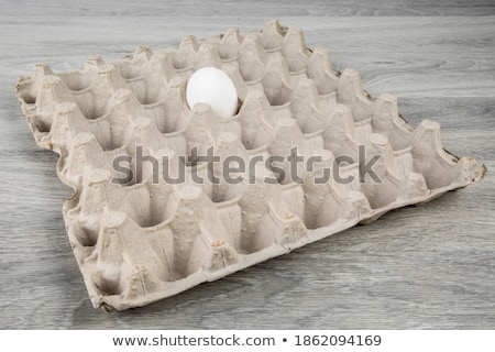 Stock photo: Lonely Hen With Easter Egg