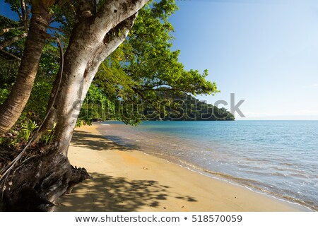 Beautiful Dream Paradise Beach Madagascar Zdjęcia stock © Artush