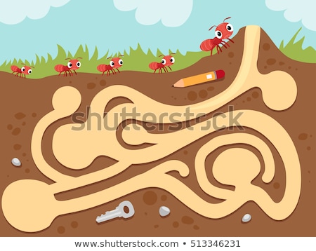 Foto stock: Maze Ant Tunnel Blank