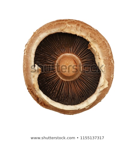 Stok fotoğraf: Champignon Mushroom Gills