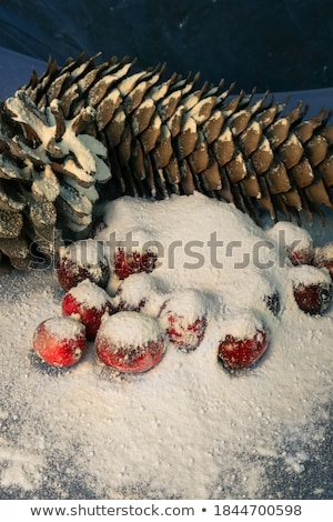 Zdjęcia stock: Christmas Fir Decoration With Cone In Dessert Bowl