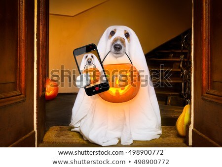 Сток-фото: Halloween Selfie Dog