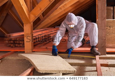 Stock fotó: House Attic Insulation - Construction Worker Installing Rock Woo