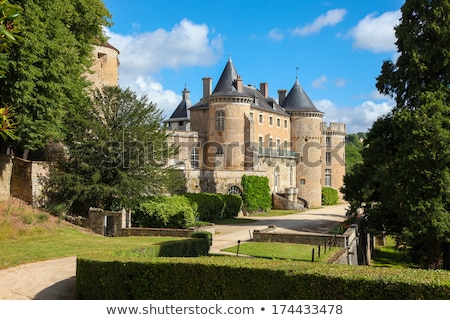 Architecture Of Dijon Cote Dor Burgundy France Foto stock © jorisvo