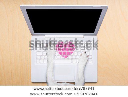 Stok fotoğraf: Valentines Day Dog Dating Online On A Chat