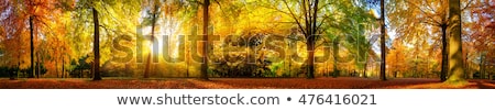 Foto stock: Aisagem · de · outono