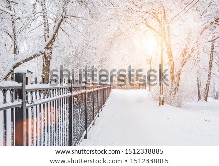 Zdjęcia stock: Frosty Fence In Winter