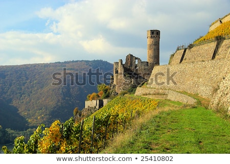 Ehrenfels Castle In The Vineyards Of The Rhine Valley ストックフォト © LianeM