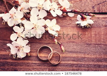 [[stock_photo]]: Wedding Rings Closeup With Pink Cherry Flowers