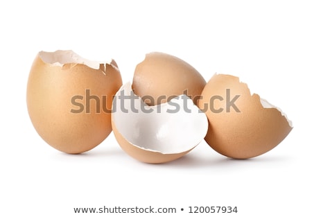 Сток-фото: Egg Shells Isolated On White Background