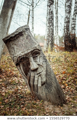 Zdjęcia stock: Wooden Idol