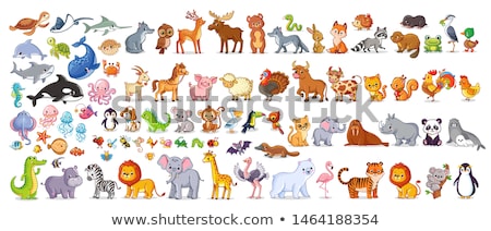 Stock fotó: Cow And Sheep Isolated Cartoon Style Animal Vector