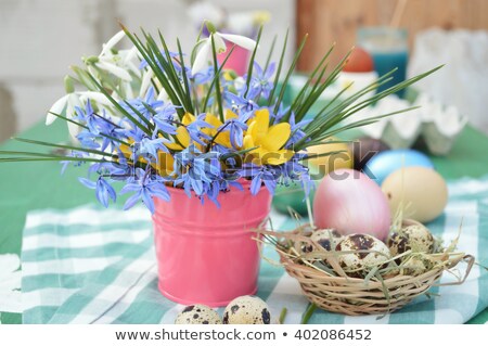 Stockfoto: Easter Decorated Garden Flower Pot With Spring Yellow Narcissus