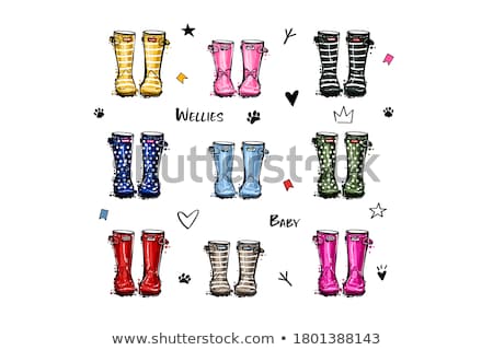 Stock photo: Pair Of Wellington Boots