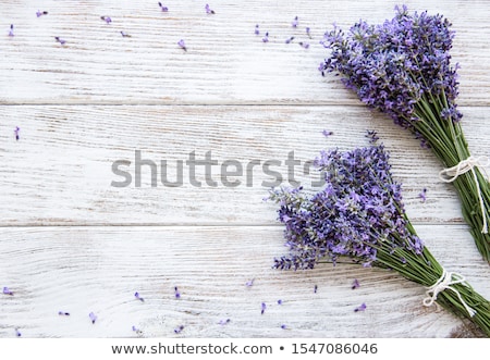 Fresh Lavender Flowers Border Foto stock © almaje