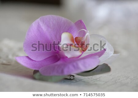 [[stock_photo]]: Forgotten Bride Bouquet