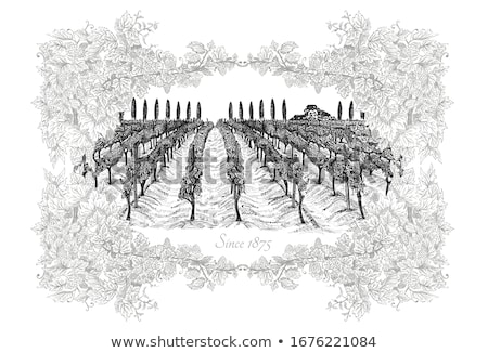 Stockfoto: Natural Frame In A Vineyard