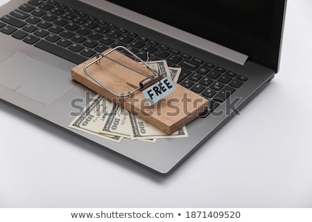 Zdjęcia stock: Wooden Mouse Trap With Dollar Sign