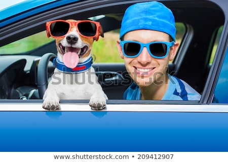 Stockfoto: Dog And Owner Summer Holidays