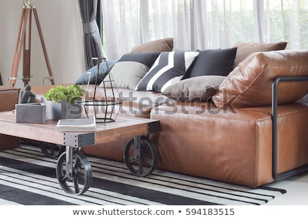 Stockfoto: Modern Leather Sofa