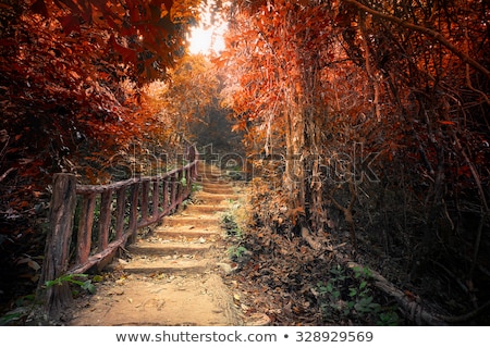 Stockfoto: Fantasy Forest Iwith Path Way Through Tropical Trees