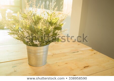 Zdjęcia stock: Simply Plant Bucket Decorated On The Table