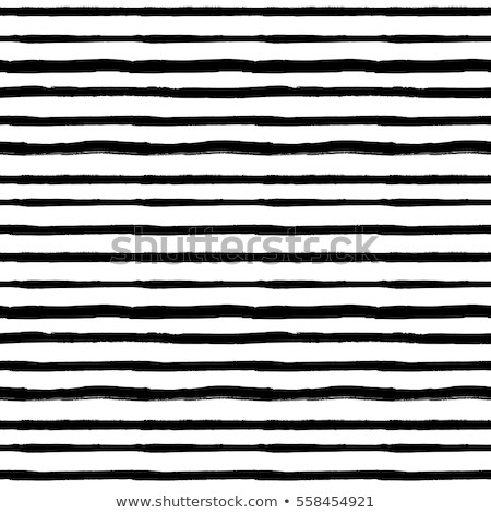 Zdjęcia stock: Vector Seamless Black And White Hand Drawn Stripes Pattern