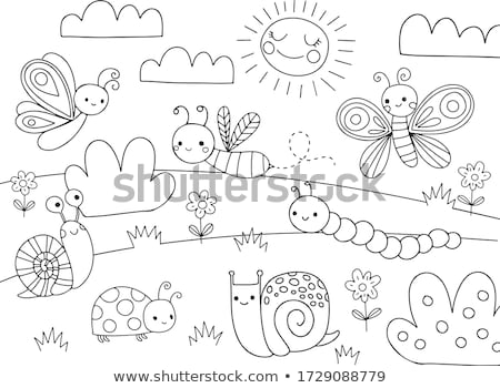 Stok fotoğraf: Caterpillars And Butterflies With Colorful Wings