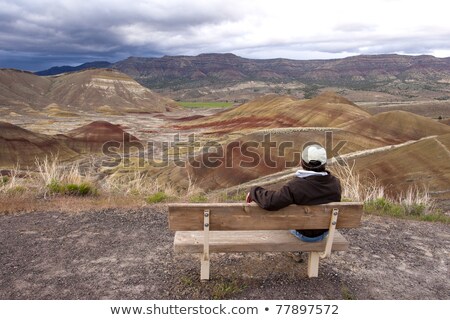 Stok fotoğraf: The Overlook At Painted Hills In Oregon