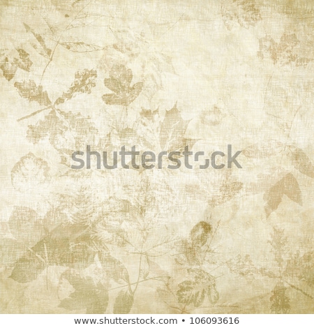 Stock photo: Old Grunge Card On The Abstract Background With Autumn Leaves An