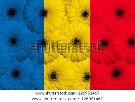 Stylized National Flag Of Romania With Gerbera Flowers [[stock_photo]] © vepar5