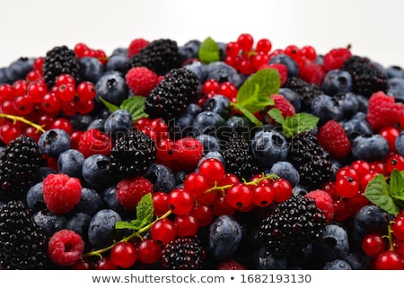 Stock fotó: Assorted Berry Fruit