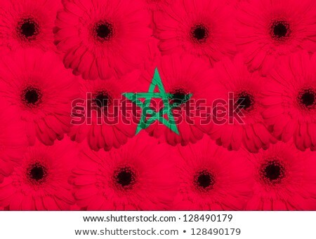 Stylized National Flag Of Morocco With Gerbera Flowers [[stock_photo]] © vepar5