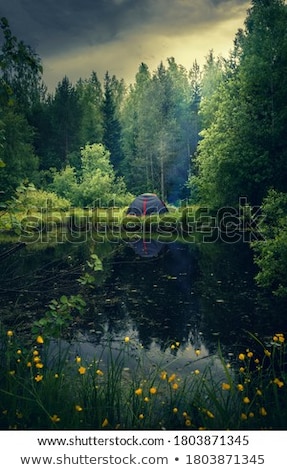 Stock fotó: Tent In Forest