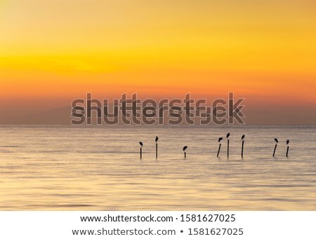 Stockfoto: Minimalistic Seascape At Twilight