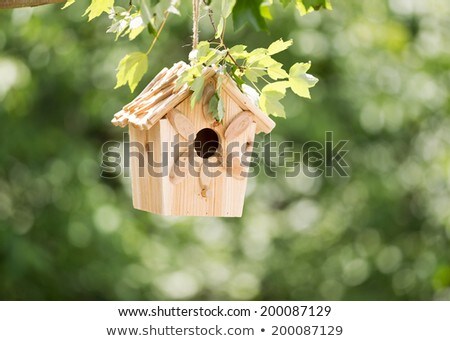 Wooden Birdhouse Hanging From A Tree In Spring Day ストックフォト © tab62