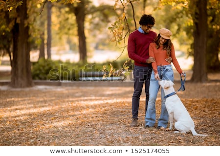 Foto stock: Multiracial Couple Walking With Dog In Autumn Park