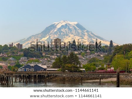 Stock fotó: Mount Rainier Closeup