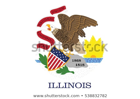 Foto d'archivio: Illinois Flag