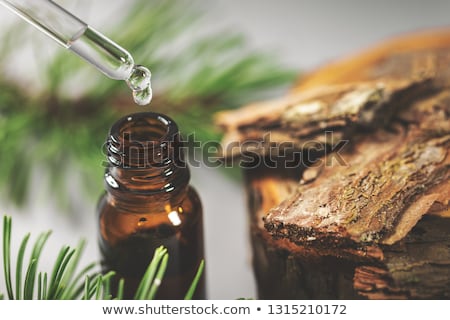 Stock photo: Pine Essential Oil Liquid Dripping From Pipette To The Bottle