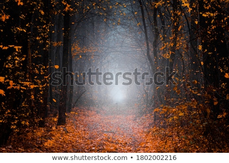 Сток-фото: Dark Autumn Landscape With Fog And Tree