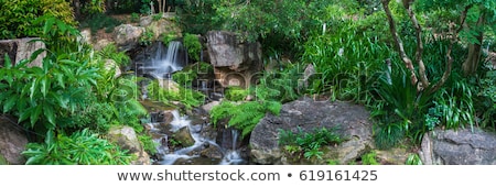 [[stock_photo]]: Tree Fern And Waterfall In Tropical Rain Forest Paradise