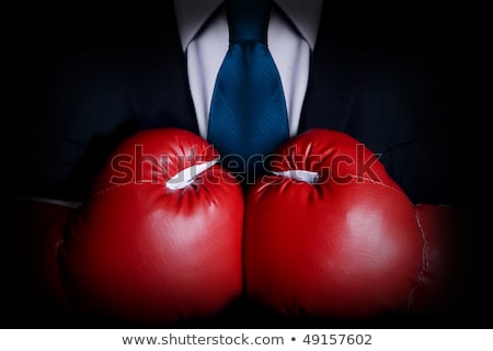 Executive Wearing Boxing Gloves Stock photo © iodrakon