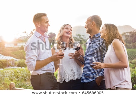 Stock foto: Toasting With Two Glasses Of Red Wine In The Vineyard