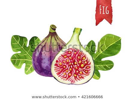Foto stock: Green Figs Plant